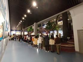 地质博物馆1 地质博物馆1